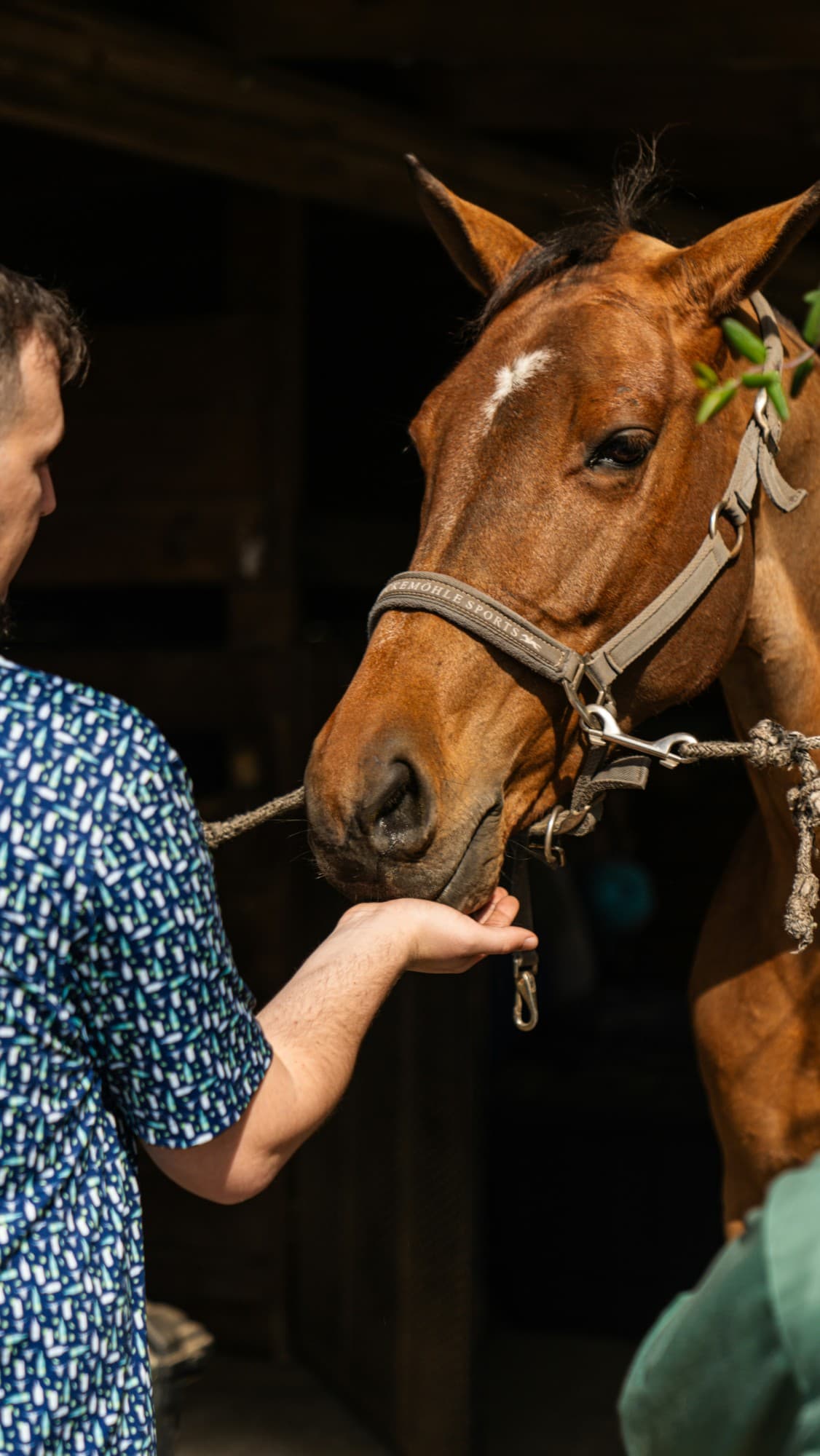 A man feeding a horse by hand outside its stable